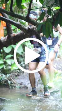 BIB:  <button type="button" onclick="openModal(27498849)" class="btn btn-primary btn-sm float-right" data-toggle="modal" data-target=".modal-high-quality">
                <i class="fa fa-download"></i> Download
                </button>